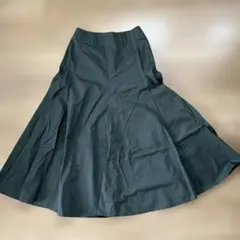 Item thumbnail for item 19a535d4-2d82-45ad-a076-609349a1c760