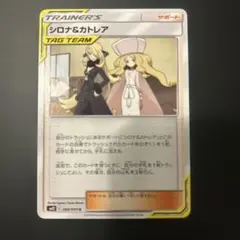 2026年最新】シロナ カトレアの人気アイテム - メルカリ