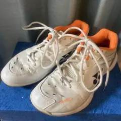 Item thumbnail for item 489cd636-3a59-496d-921b-38139c68a62c