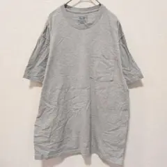 フルーツオブザルーム 無地 Tシャツ クルーネック 半袖 L 灰 綿 普段着のサムネイル