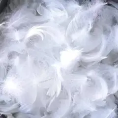 Item thumbnail for item 76e8079a-d634-45bc-9f65-1f3388069394