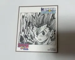 ジャンプフェア　アニメイト　2021 HUNTER×HUNTER ゴン　色紙