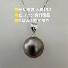 【希少　最高峰】南洋黒蝶真珠　大珠13.2mm ペンダントトップ　真科研ピコツク