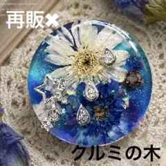 1755】レジン マトリカリア ヘアゴム ポニーフック ブロ―チ