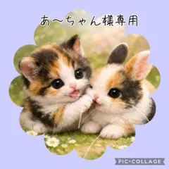 【2月】あ～ちゃん様専用