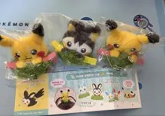 韓国限定 ポケモン POPUPピカチュウ ミラースマートトック ヘアピン
