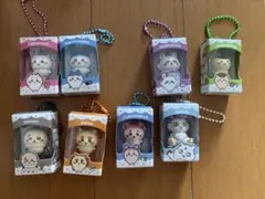 最安‼️MoMo スクイーズ ミニシリーズ 5個セット 海洋 おでん チキン