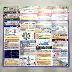 12月２４日〜１月３日はお休みです。様 リクエスト 2点 まとめ商品
