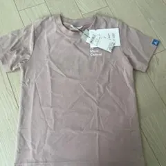 Item thumbnail for item e2e0220b-7b3f-4a7c-8440-604ecf68adb8