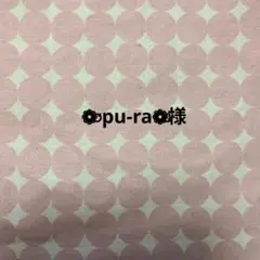 ❁⃙⃙ pu-ra❁⃙⃙様おまとめ品