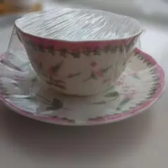 HOYA ペア ティーカップ&ソーサー2客セット（花柄）