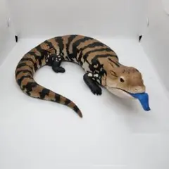 Item thumbnail for item 9d7e5967-919e-401b-8eaa-dfac1e979c82