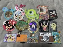 ディズニーランド　ディズニーシー　パスケース