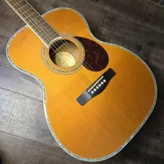 ☆ギルドD-55スタイル！トムソンGW-380がこれだ！超激鳴・超渋美品