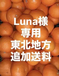 Luna様　専用　東北地方　追加送料