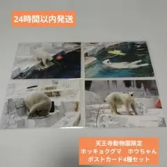 しろくまちゃん様 リクエスト 3点 まとめ商品