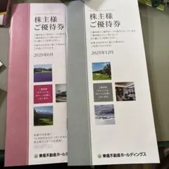 東急不動産ホールディングス 株主優待券　2冊