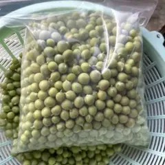 サトキキ様専用！うすいえんどうむき身無農薬５００g☆和歌山県より