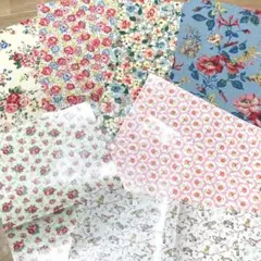 キャスキッドソン　ラミネート生地　　　　　　　　　　　 　はぎれ　ポーチ作成生地