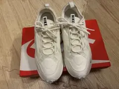 Item thumbnail for item 4f62be7a-3af0-47d3-bbe2-3950e79cd37b