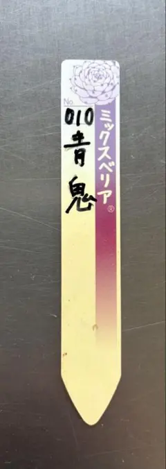 2026年最新】青鬼 多肉の人気アイテム - メルカリ