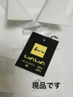 ウイングカラーシャツ　白 フォーマル　タキシード　モーニング用