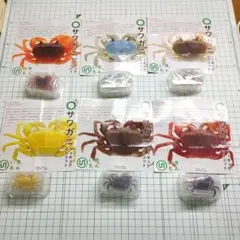 2025年最新】サワガニ ネイチャーテクニカラーの人気アイテム
