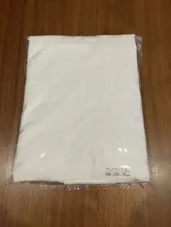 Item thumbnail for item dc0e6386-ffbf-434e-a3b8-bd0e0d6fbf21