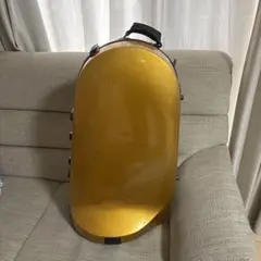 Item thumbnail for item 41edb443-9c4c-4572-a5c4-63468fc78109