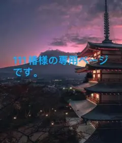 111椿様の専用ページです