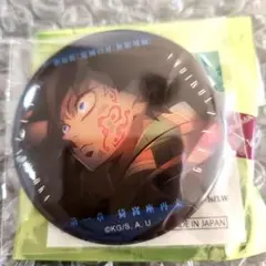 鬼滅の刃　無限城　缶バッジ　冨岡義勇