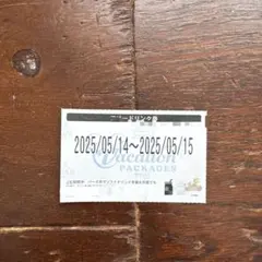 ディズニー　バケパ　フリードリンク券　1枚