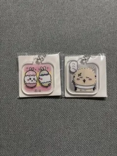 ちいかわ　ちいかわ アクリミニ アクリルキーチェーン3 ２個セット①