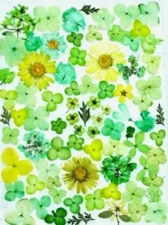 Item thumbnail for item e3c2b269-3f8d-4a7a-804a-6a37fa889b85