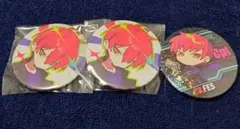 Crazy Raccoon　cpt　缶バッジ　セット