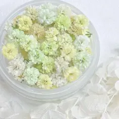 waffle様 リクエスト 5点 まとめ商品