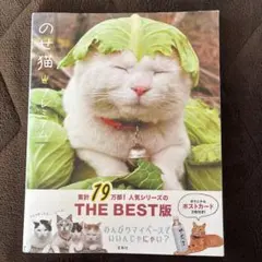 Item thumbnail for item 14f8eb96-da01-42da-ba34-0d7e41057258