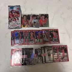 日本代表バレーボールチーム トレーディングカードセット ウエハース