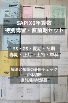 2026年最新】サピックス 解法力復習テスト 算数の人気アイテム - メルカリ