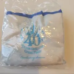 東京ディズニーリゾート 40周年エコバッグ　デイジー　カプセルトイ