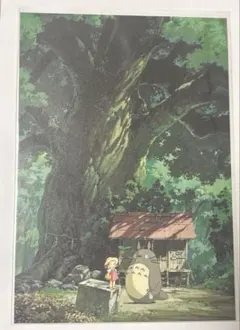 トトロ ポストカード