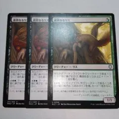 MTG 貪欲なるリス 3枚セット