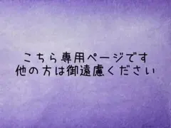 専用ページ