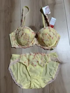 【タグ付き新品】トリンプ　D70 M 上下セット