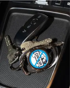 Item thumbnail for item f1281d79-fc8d-48dc-9ce9-51e08a99893e