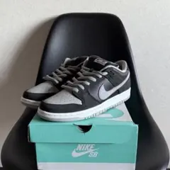 日本未発売！Nike SB Dunk Low 