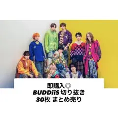 即購入◎ BUDDiiS 切り抜き まとめ売り 30枚