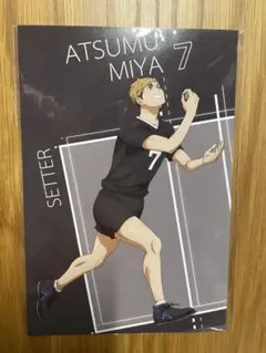 【非売品】ハイキュー!! ポストカード　宮侑