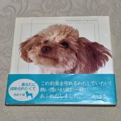 あなたにほめられたくて 犬の十戒