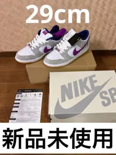 【新品未使用29cm】ナイキ エスビー NIKE SB DUNK ライッサ